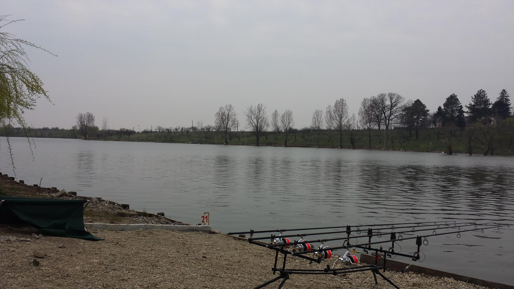 Hermes Peris 19 martie 2016 - 20160319114214.jpg